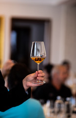 Glass of white, rose and red wine seen from close up.