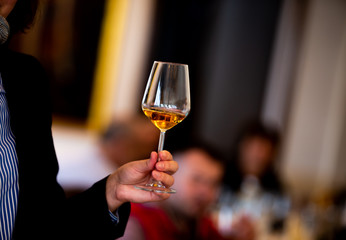 Glass of white, rose and red wine seen from close up.