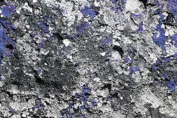 aged brushed moss on wall texture - cute abstract photo background