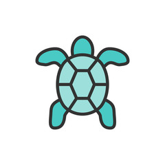 Vector turtle, aquatic animal flat color line icon.