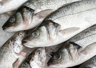 Beautifully laid out sea bass fish and sea bass on the counter of the fish market for the best choice of buyers buyers. Peeled sea fish in a crate at the port city fish town market. Pattern
