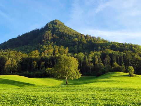 Mountain peak Nollen with mixed forest and along Lake Lucerne or Vierwaldstaetersee lake (Vierwaldstattersee or Vierwalds&auml;ttersee), Buochs - Canton of Nidwalden, Switzerland