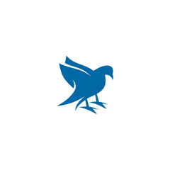 Bird logo design vector template