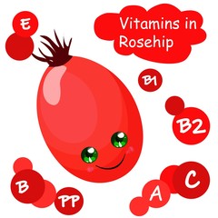 vitamins in rose hips. Autumn rose. vitamin C in berries and fruits.