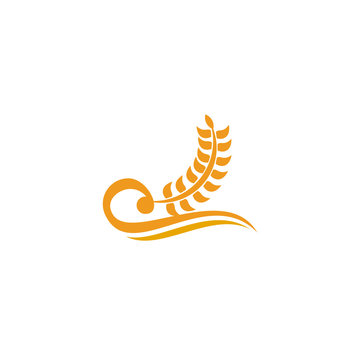 Wheat agriculture farming logo design vector template