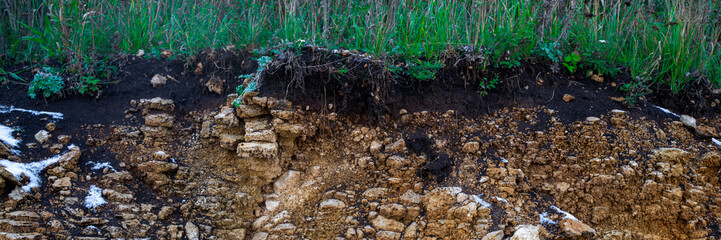 Soil cut-sandstone, stones, clay, sand structure and layers. slice of sand with layers of different structures. Layers of sedimentary sandstone rock