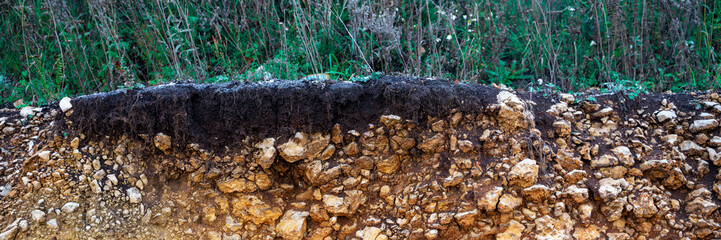 Soil cut-sandstone, stones, clay, sand structure and layers. slice of sand with layers of different structures. Layers of sedimentary sandstone rock