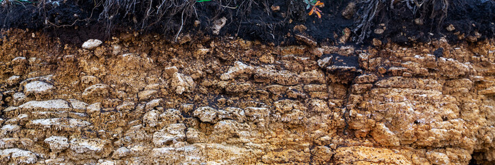 Soil cut-sandstone, stones, clay, sand structure and layers. slice of sand with layers of different structures. Layers of sedimentary sandstone rock