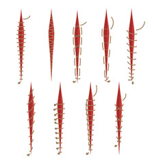 Illustration Set With Different Surgical Stitches Isolated On White Background