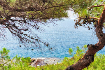Amazing view to Aegean sea and the coastline through the pine branches from the Ruins in Archaeological site of Aliki, Thassos island, East Macedonia and Thrace, Greece