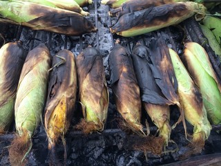 Corn on the Cob grilling on a Grill