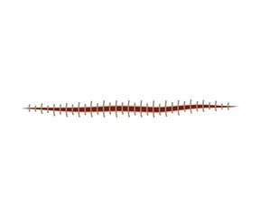 Medical Suture Or Stitch For Injury Isolated On White Background