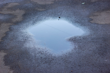 Drops of rain water on a fresh asphalt in the sun. - Powered by Adobe