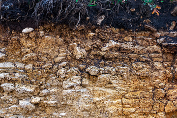 The curb erosion from storms. To indicate the layers of soil and rock. Nature cross section soil...
