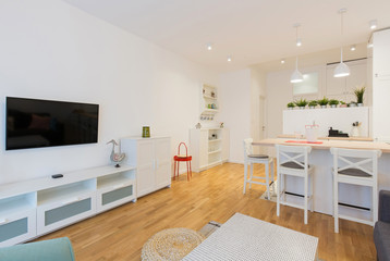 Interior of a open plan apartment, living room, kitchen, dining area