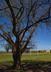 Rugby Field