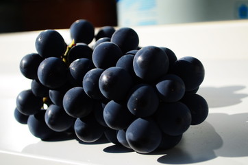big blue grape called isabella on the vine