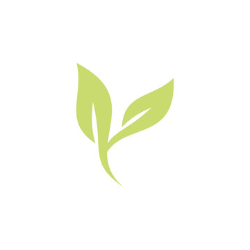 tree leaf logo template,nature design concept, tree leaf