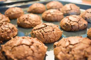 Chocolate Brownie Cookies Fresh Homemade