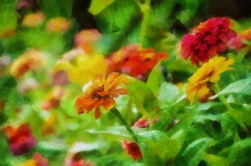 Illustration of flowers in the Park.