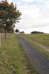 Feldweg zwischen den Wiesen