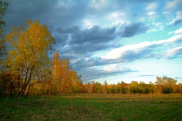 forest in the light of the sunset in spring, Russia.