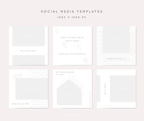 Social media identity for pets related businesses. Vector set of insta post templates.