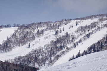 Snow covered trees on winter snow mountains. Winter snow mountain forest landscape.