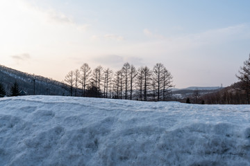 Winter snow mountain forest landscape.