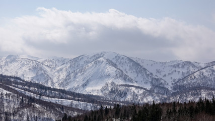 Fototapeta na wymiar Snow covered trees on winter snow mountains. Winter snow mountain forest landscape.