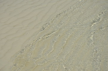 The footprints in the sand