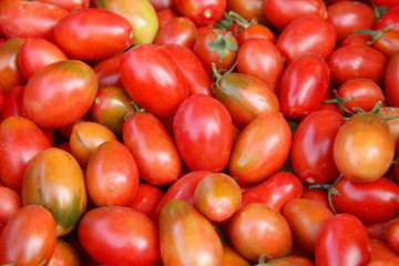 fresh tomatoes at the market