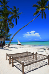Palm tree on the beach and crystal clear water