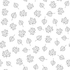 Autumn leaves. Vector monochrome seamless pattern with hand drawn outline leaves. Sketch maple and birch leaves. Leaf fall ornament on white background