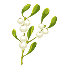 Illustration of mistletoe branch with berries.