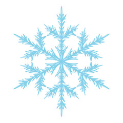 Illustration of crystal snowflake.