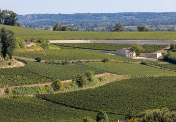 Famous French Vineyards at Saint Emilion town near Bordeaux, France. St Emilion is one of the...