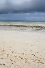 The low tide in Zanzibar