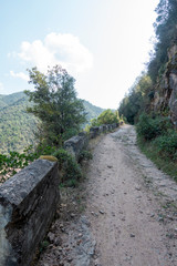 The tau swamp on the route of the ter