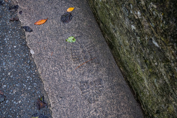 A boot print captured in hardened cement
