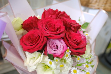 Macro view of colorful blue red green white pink purple rose flower bouquet in full blossom
