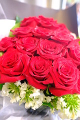 Macro view of colorful blue red green white pink purple rose flower bouquet in full blossom