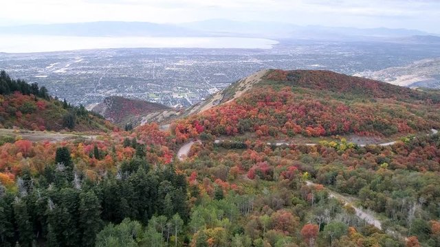 Aerial view flying over Fall colors on mountain towards Utah Valley viewing Utah Lake, Provo, and Orem from over Squaw Peak Road.