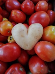 tomatoes on a black background