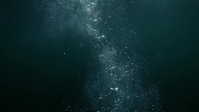 Bubbles rise from the depth to the surface in slow motion. They turbulize and dissolve in water. They pass close to the camera and propagate in defocus.