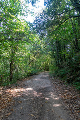 The tau swamp on the route of the ter