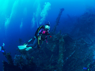 scuba diver with coral