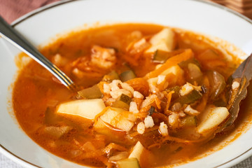 Vegetable soup with pickled cucumbers and rice 