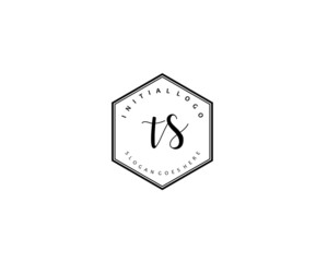  TS Initial handwriting logo vector