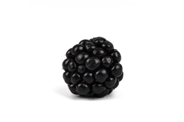 Front view of one isolated organic shiny black berry on white background